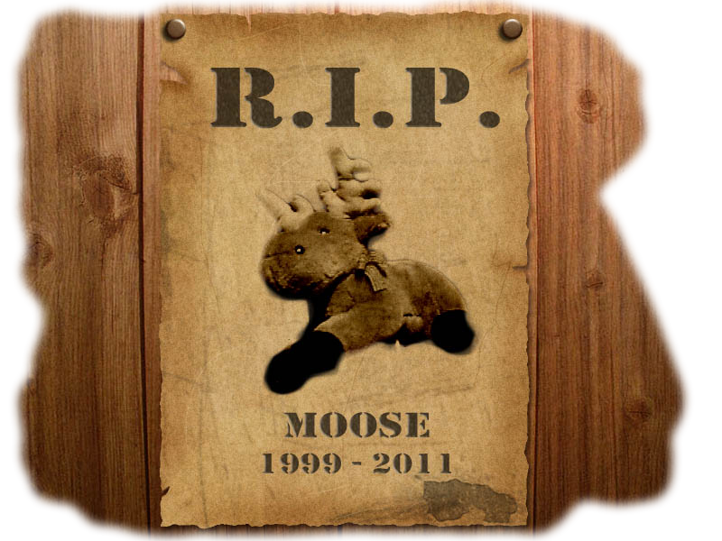 R.I.P. Moose 1999-2011